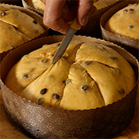 - Loison Panettone & Holiday Bakery